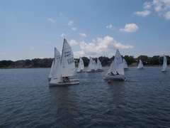 Image file: photo240.jpg