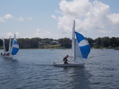 Image file: photo248.jpg