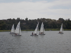 Image file: photo080.jpg