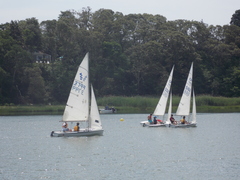 Image file: photo082.jpg