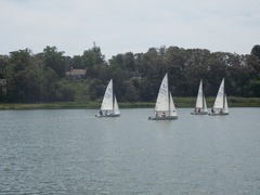 Image file: photo083.jpg