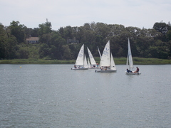 Image file: photo084.jpg