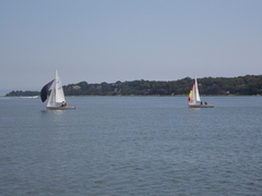 Image file: photo095.jpg