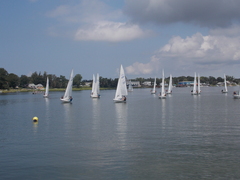 Image file: photo122.jpg