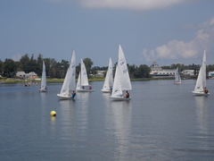 Image file: photo123.jpg