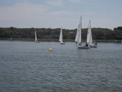 Image file: photo138.jpg