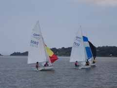 Image file: photo145.jpg