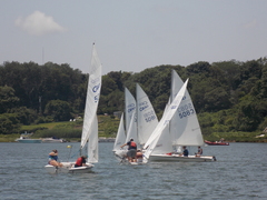 Image file: photo161.jpg