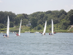 Image file: photo163.jpg