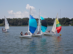 Image file: photo173.jpg