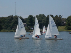 Image file: photo187.jpg