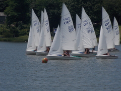 Image file: photo189.jpg