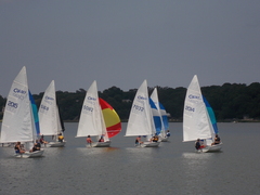 Image file: photo207.jpg