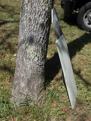 Image file: photo01.jpg