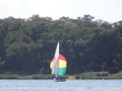 Image file: photo45.jpg