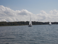 Image file: photo51.jpg