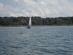 Image file: photo63.jpg