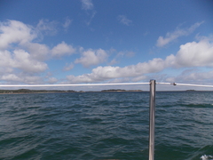 Image file: photo05.jpg