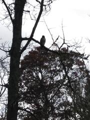 Image file: photo01.jpg