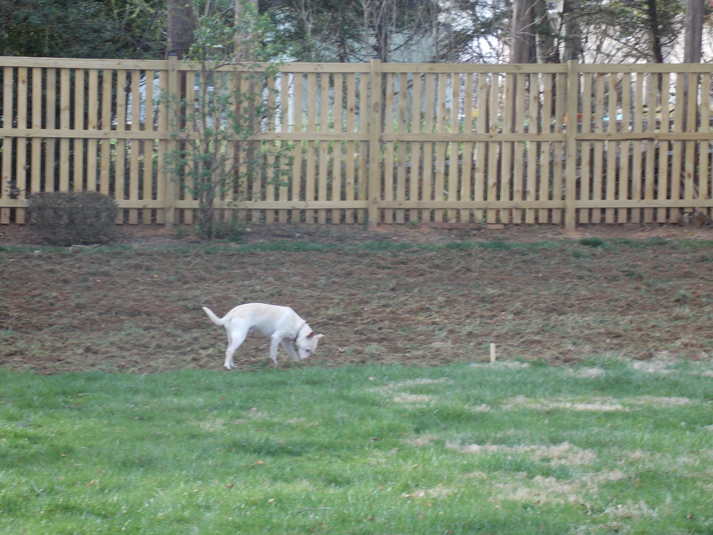 No description provided for: /2017/04-06/0410-erin-garden/photo02.html