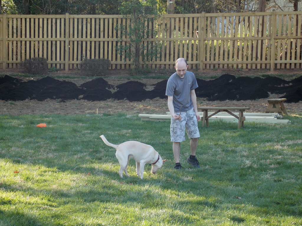 No description provided for: /2017/04-06/0412-erin-garden/photo06.html