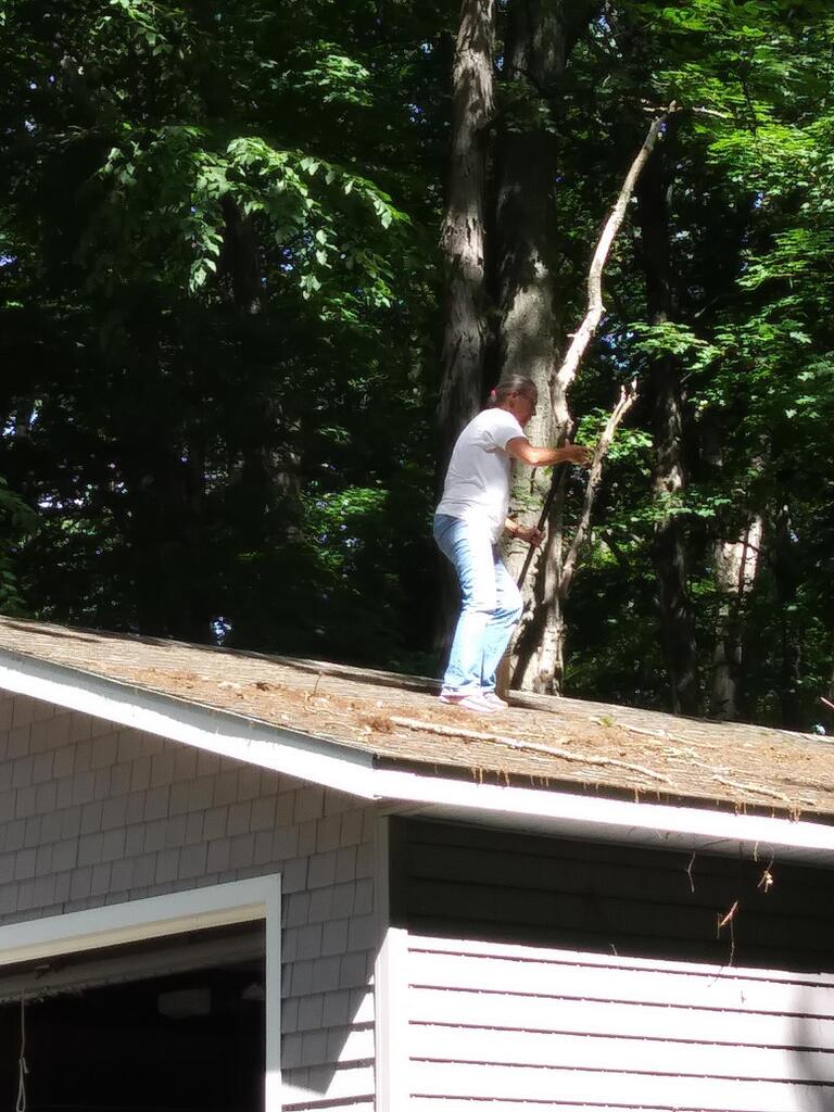 No description provided for: /2017/04-06/0622-riverford-house/photo03.html