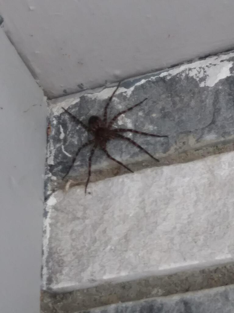 No description provided for: /2017/04-06/0622-riverford-house/photo05.html