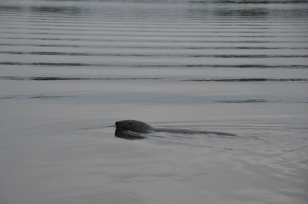 No description provided for: /2017/07-09/0715-fleet15-alper/_2/photo25.html