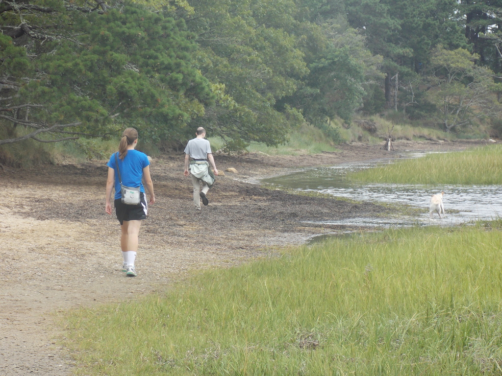 No description provided for: /2017/07-09/0818-kent-point/photo04.html