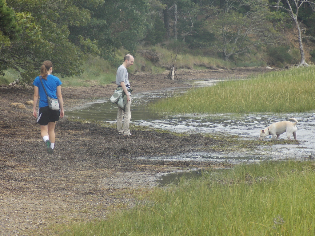 No description provided for: /2017/07-09/0818-kent-point/photo05.html