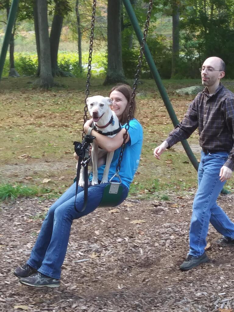 No description provided for: /2017/10-12/1007-lily-on-swing/photo02.html