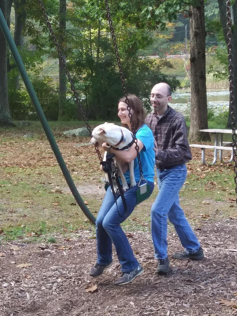 No description provided for: /2017/10-12/1007-lily-on-swing/photo03.html