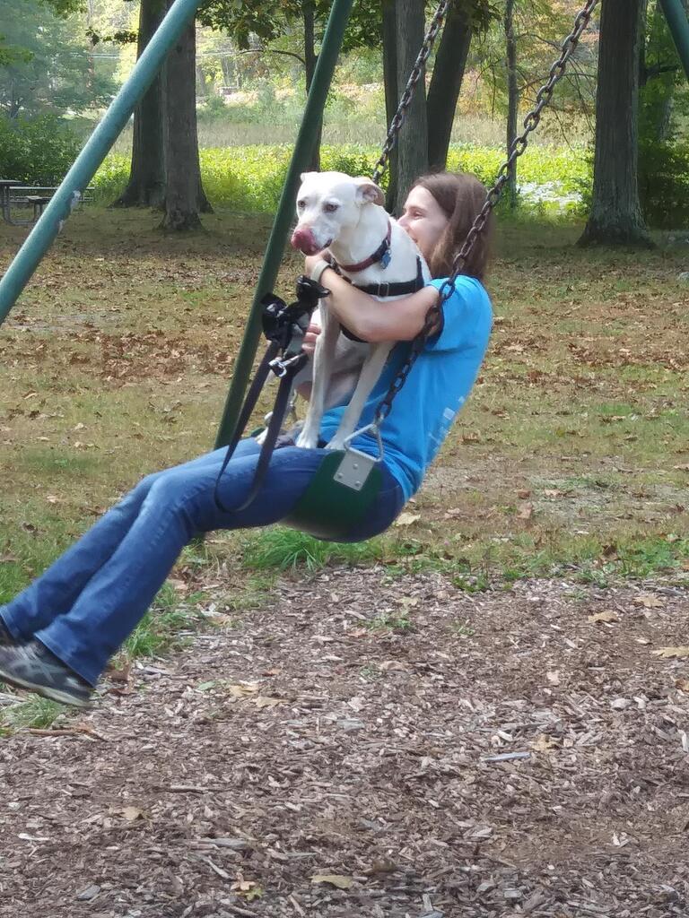 No description provided for: /2017/10-12/1007-lily-on-swing/photo04.html