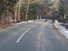 Image file: photo01.jpg