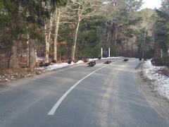 Image file: photo02.jpg