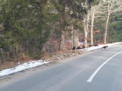 Image file: photo04.jpg