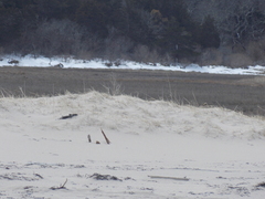 Image file: photo09.jpg