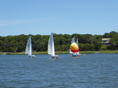 Image file: photo17.jpg