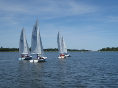 Image file: photo46.jpg