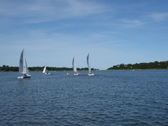 Image file: photo47.jpg