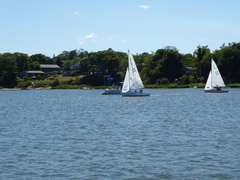 Image file: photo48.jpg