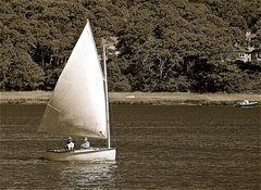 Image file: photo48.jpg