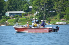 Image file: photo03.jpg