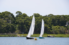 Image file: photo31.jpg