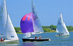 Image file: photo237.jpg