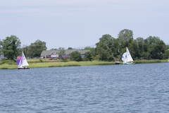 Image file: photo320.jpg