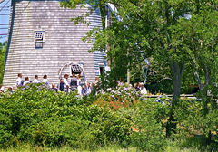 Image file: photo329.jpg