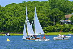 Image file: photo035.jpg