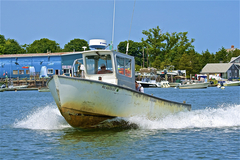 Image file: photo063.jpg