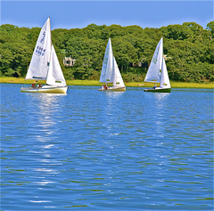 Image file: photo077.jpg